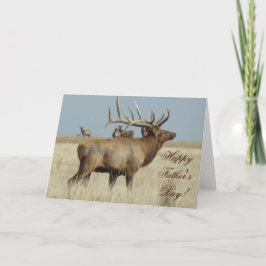 E4 Bull Elk Herd Boss Karte