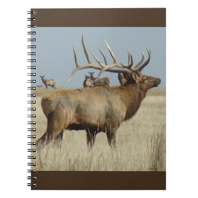 E4 Bull Elk Herd Master Notizblock (Vorderseite)