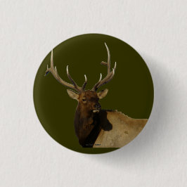E50 Stier Elche Button