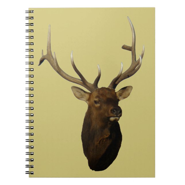 E51 Bull Elk Head Notizblock (Vorderseite)