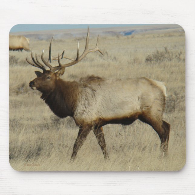 E55 Stier Elche großer Stier Mousepad (Vorne)