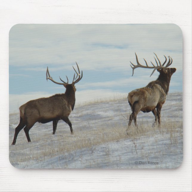 E57 Stier Elche glückliche 13 Stier Mousepad (Vorne)