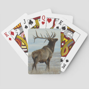 E58 Bull-Elch Lucky 13 Bulle Spielkarten