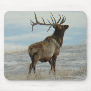E58 Bull Elk Lucky 13 Bull Mousepad