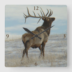 E58 Bull Elk Lucky 13 Bull Quadratische Wanduhr