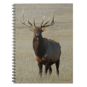 E59 Bull Elk Notizblock
