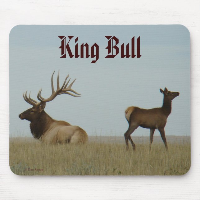 E5 Bull Elk und Yearling Mousepad (Vorne)