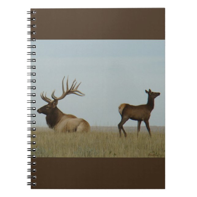 E5 Bull Elk und Yearling Notizblock (Vorderseite)