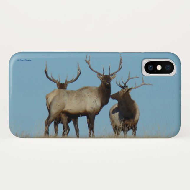 E60 Bullklee Case-Mate iPhone Hülle (Rückseite (Horizontal))