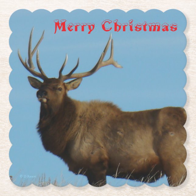 E62 Bull Elk and Blue Sky Coaster Untersetzer (Vorderseite)