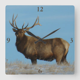 E62 Bull Elk Sky Lined Quadratische Wanduhr