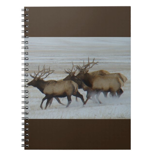 E64 Bullklee läuft im Schnee Notizblock (Vorderseite)