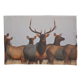 E66 Bull Elk and Cows Kissenbezug
