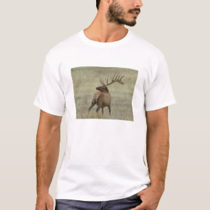 E6 Bull-Elch in Samt T-Shirt
