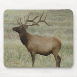 E8 Bull-Elch im Samt Mousepad
