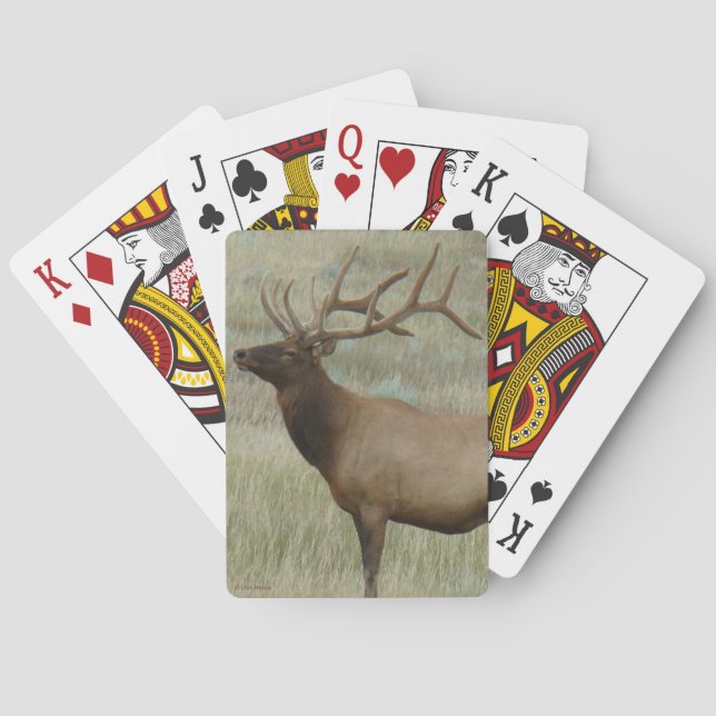 E8 Bullenelch in Velvet Spielkarten (Rückseite)