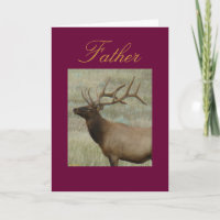 E9 BullElch in Samt Kopf und Schultern