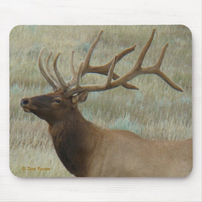 E9 BullElch in Samt Kopf und Schultern Mousepad (Vorne)