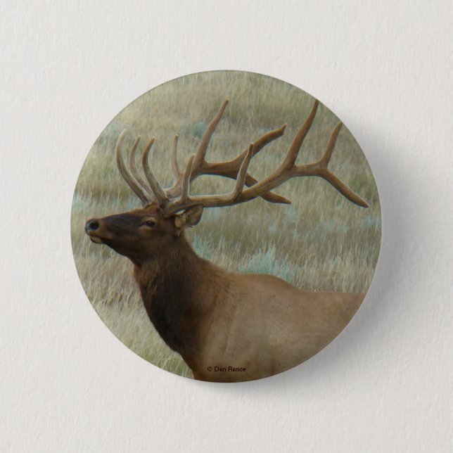 E9 BullElch in Velvet Button (Vorderseite)
