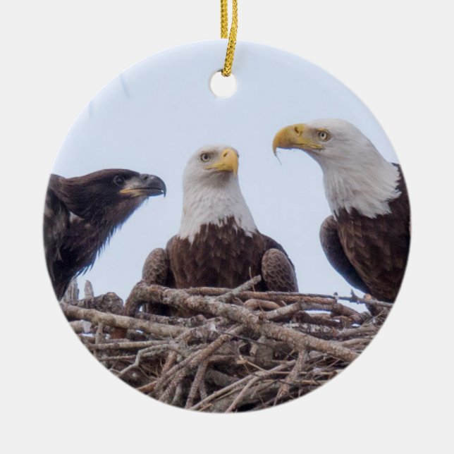 E9 et ornement de vacances de famille (Devant)