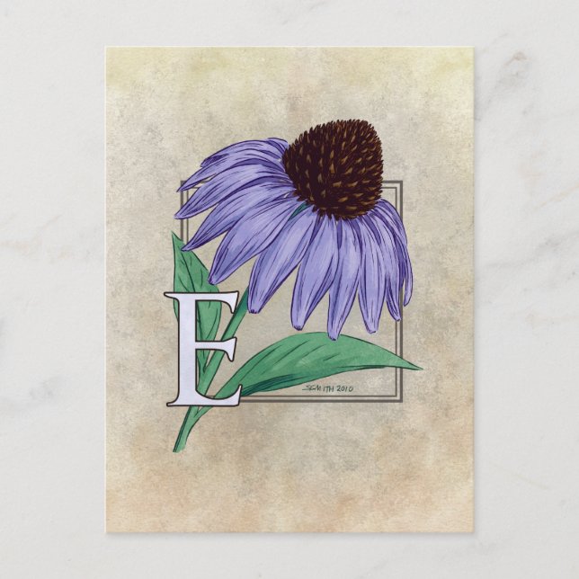 E für Monogramm-Karten der Echinacea-Blume Postkarte (Vorderseite)