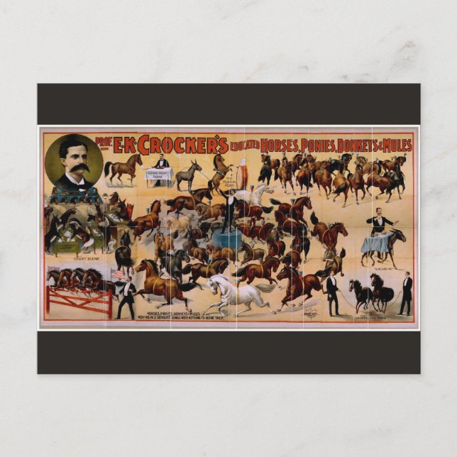 E.K.Crocker Postkarte (Vorderseite)