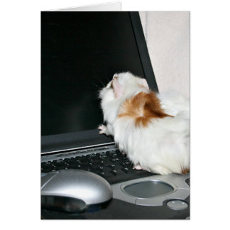 E-Mail prüfen