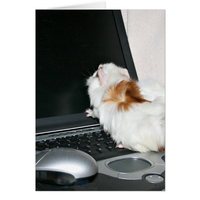 E-Mail prüfen (Vorne)