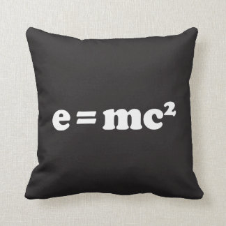 e = mc2 kissen