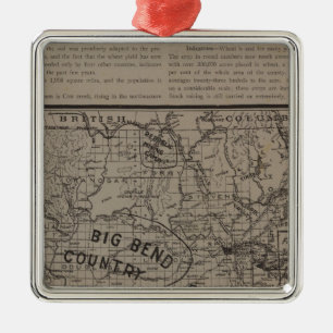 E Washington, N Idaho Silbernes Ornament