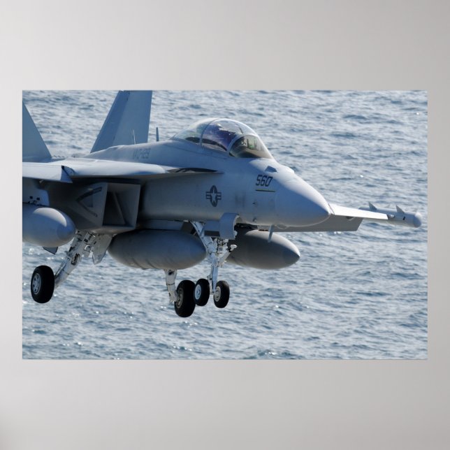 EA-18G Growler Poster (Vorne)