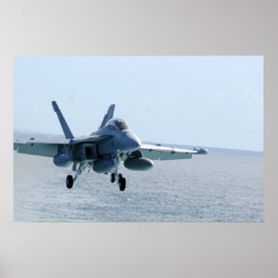 EA-18G Prüfspule Poster