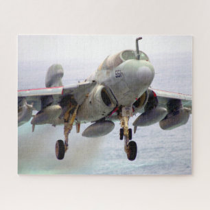 EA-6B PROWLER (16x20 INCH)