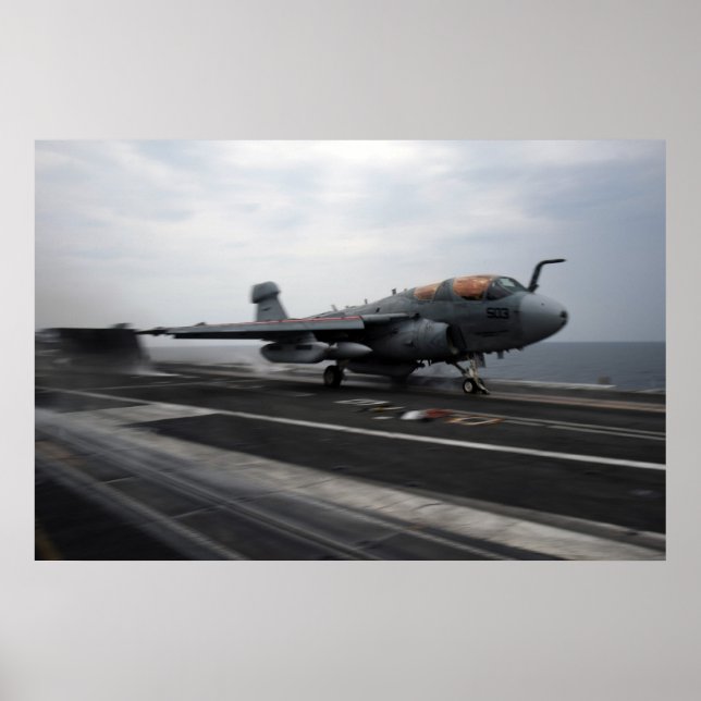 EA-6B Prowler Poster (Vorne)