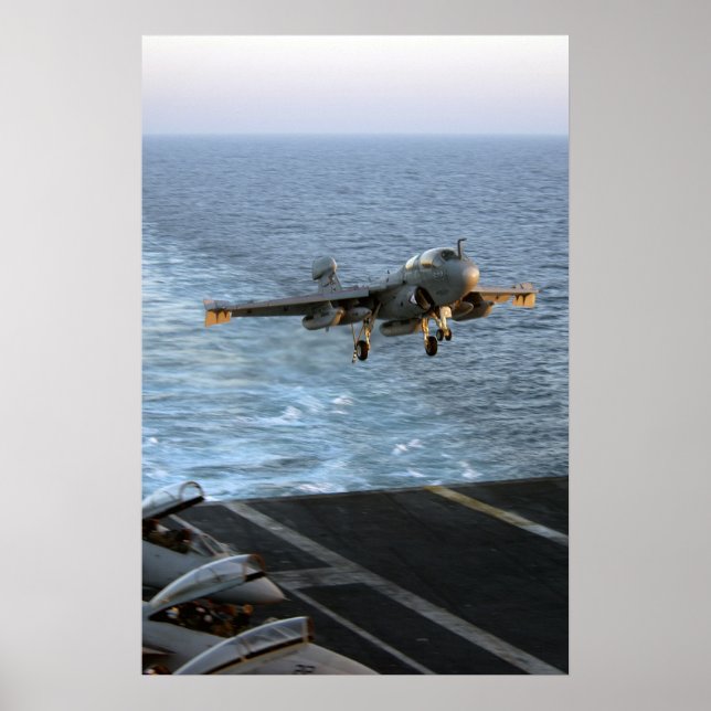 EA-6B Prowler Poster (Vorne)