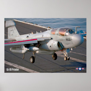 EA-6B PROWLER POSTER