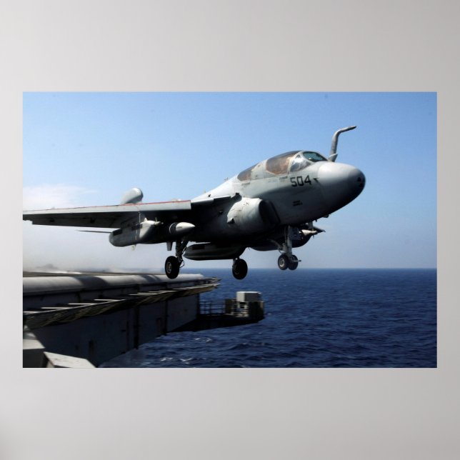 EA-6B Prowler Poster (Vorne)