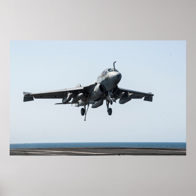 EA-6B Prowler Poster (Vorne)