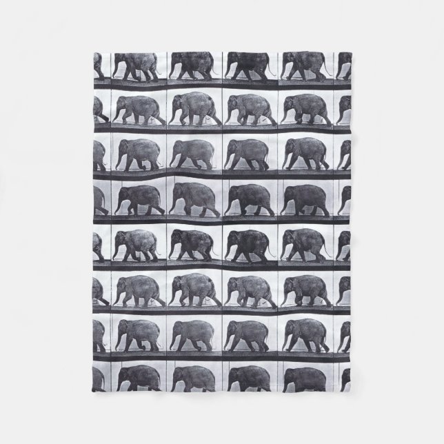EADWEARD MUYBRIDGE: Elefant-gehende Fleecy Decke (Vorderseite)