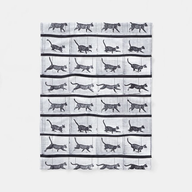 EADWEARD MUYBRIDGE: Gehende Katze - Fleecy Decke (Vorderseite)