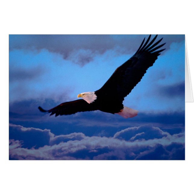 Eagle (Devant horizontal)