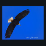 Eagle against a blue sky poster<br><div class="desc">Eagle against a blue sky</div>