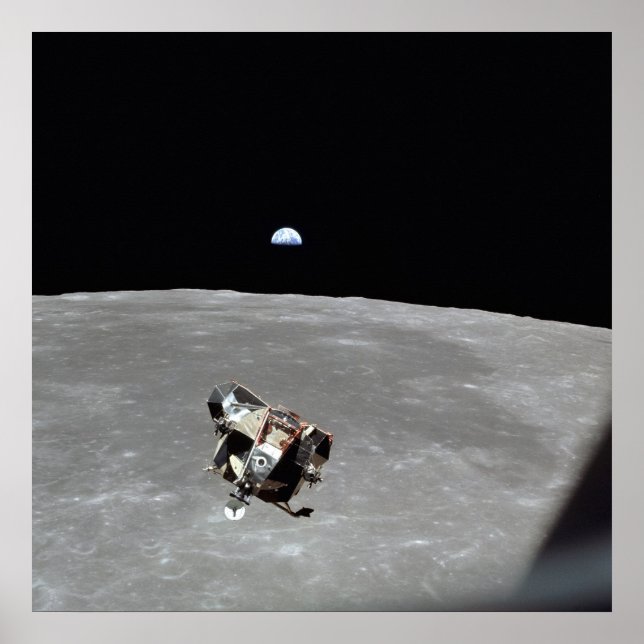 Eagle Ascent Bühne Poster 24"x24" (Vorne)