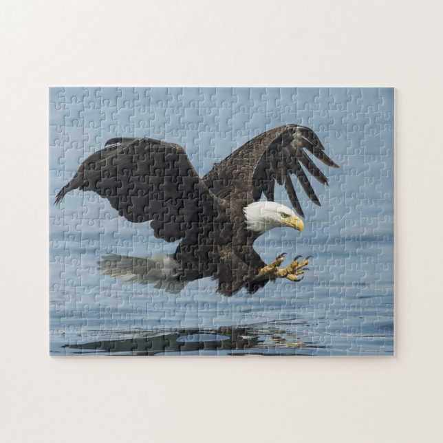 Eagle auf Annäherung (Horizontal)