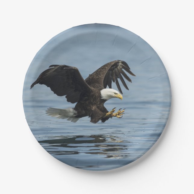 Eagle auf Annäherung Pappteller (Vorderseite)