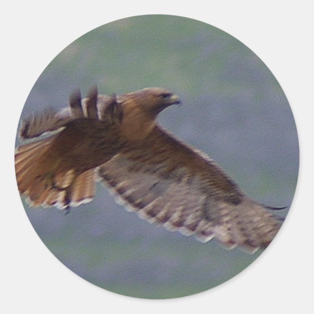 Eagle-Aufkleber Runder Aufkleber (Vorderseite)