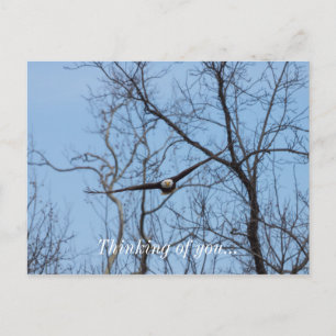 Eagle beim Wegfliegen - Denk an Dich Postkarte