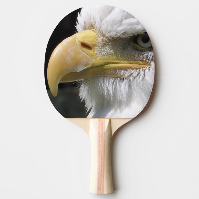 EAGLE BIRD OF PREY  TISCHTENNIS SCHLÄGER (Vorderseite)
