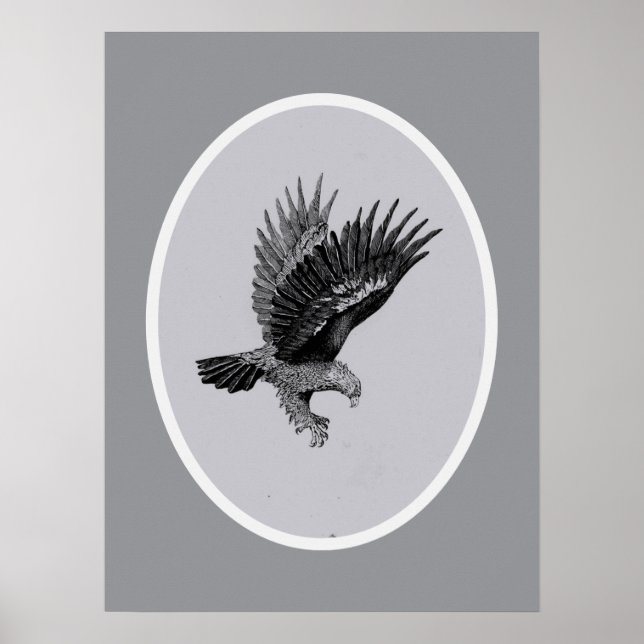 Eagle by Light    Poster (Vorne)