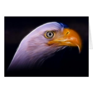 Eagle chauve patriotique américain, symbole